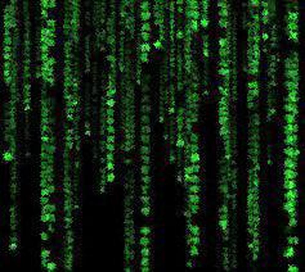 Neo Tag Necklace - Reva Jewellery