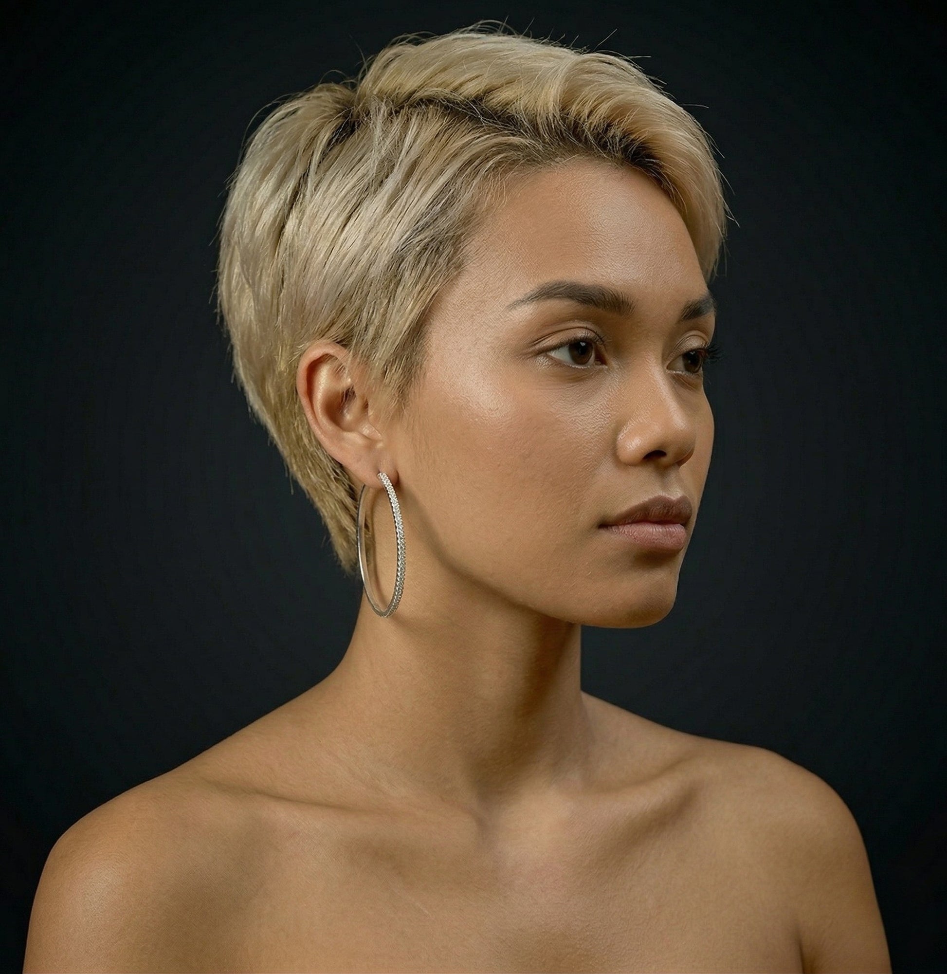 Hoop Pave Earrings - Reva Jewellery