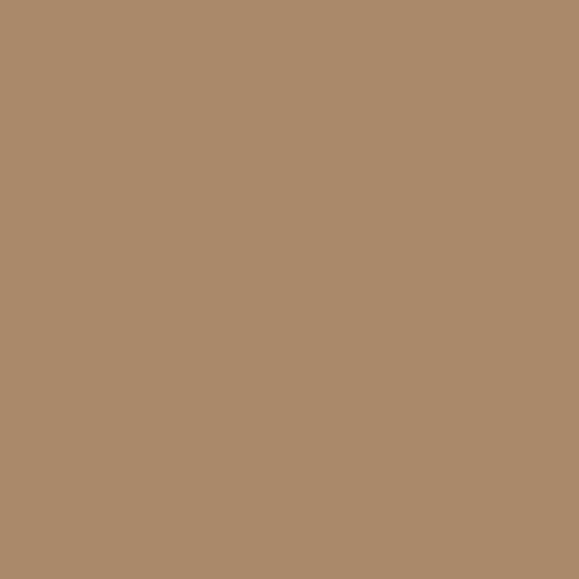 Ranger Bracelet Tan Color - Reva Jewellery